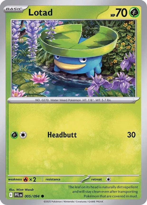 Lotad
