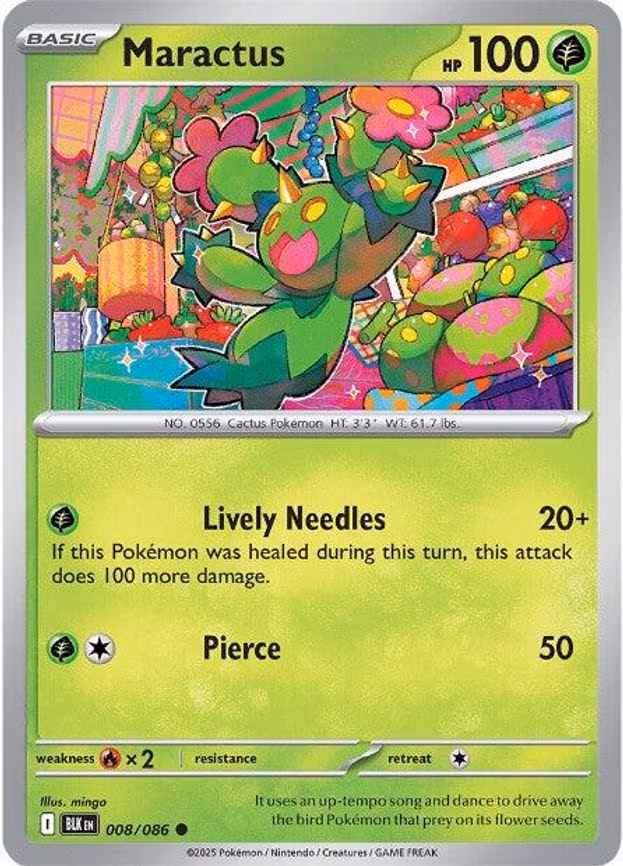 Maractus