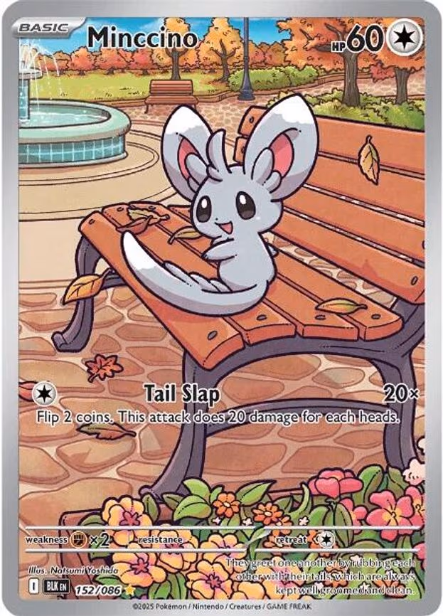 Minccino