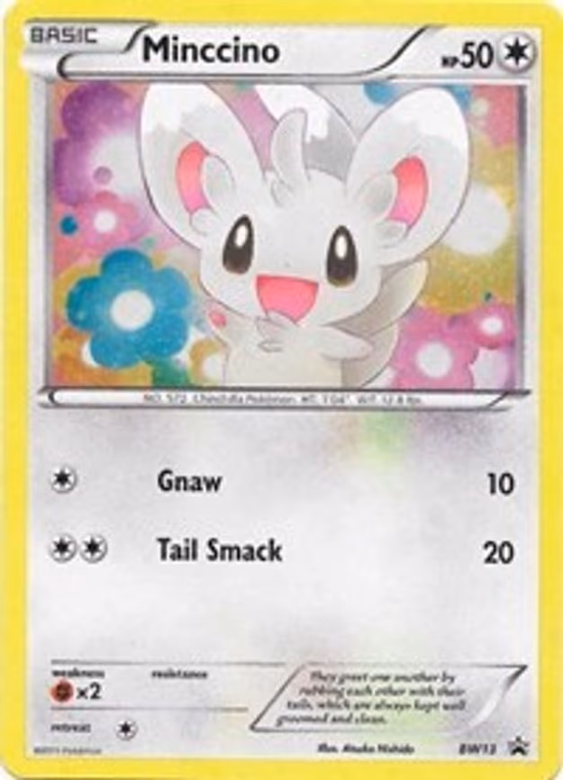 Minccino