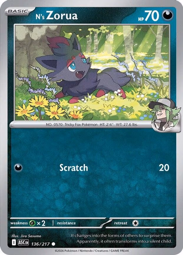 N's Zorua