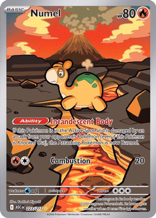Numel