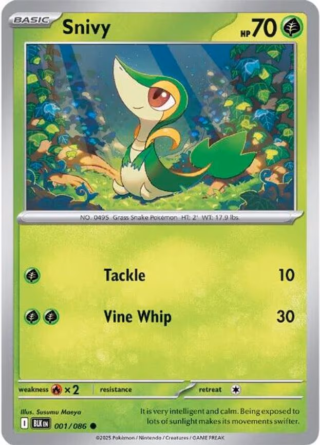 Snivy