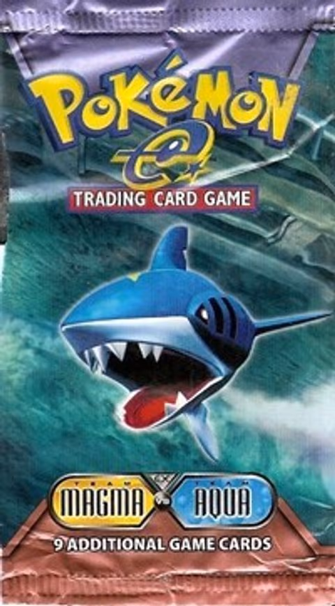 Team Magma vs Team Aqua