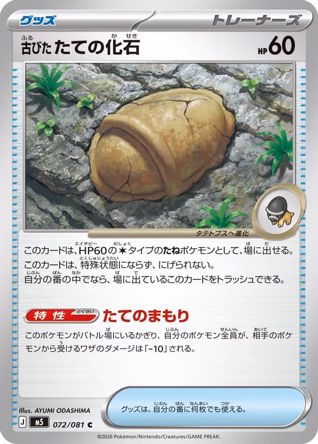 Antique Armor Fossil
