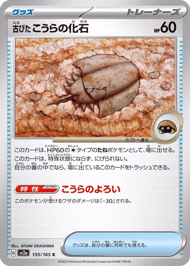 Antique Dome Fossil