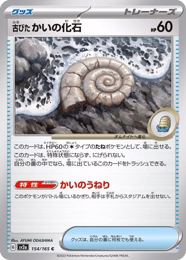 Antique Helix Fossil