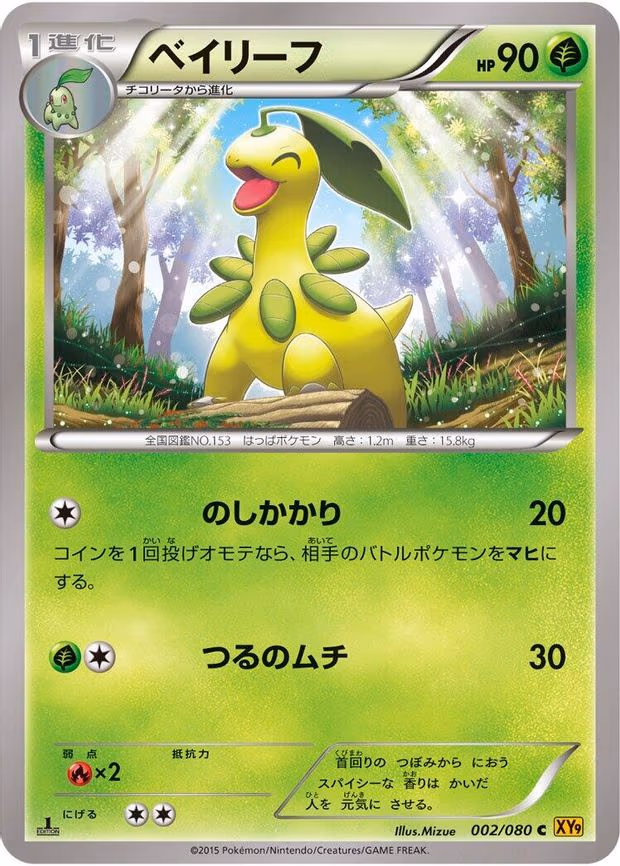 Bayleef