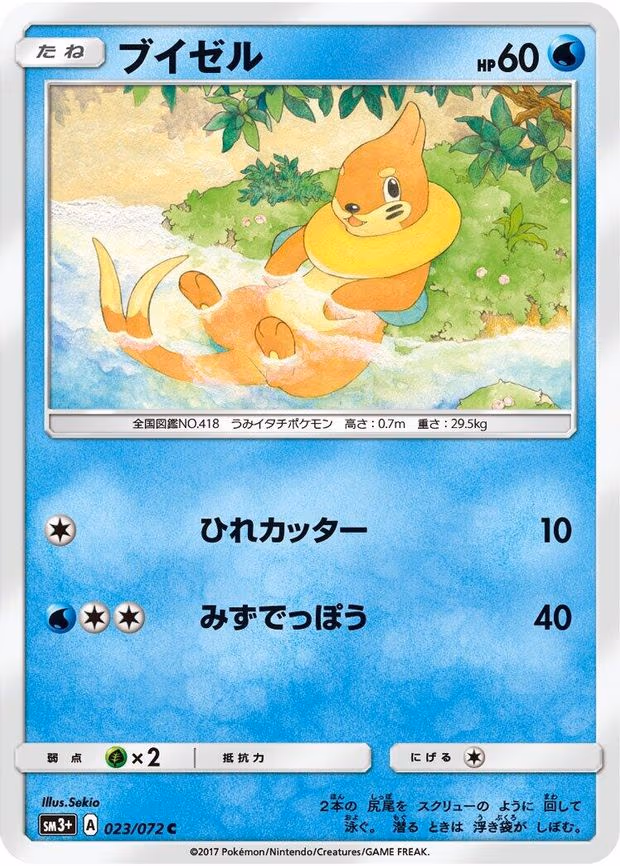 Buizel