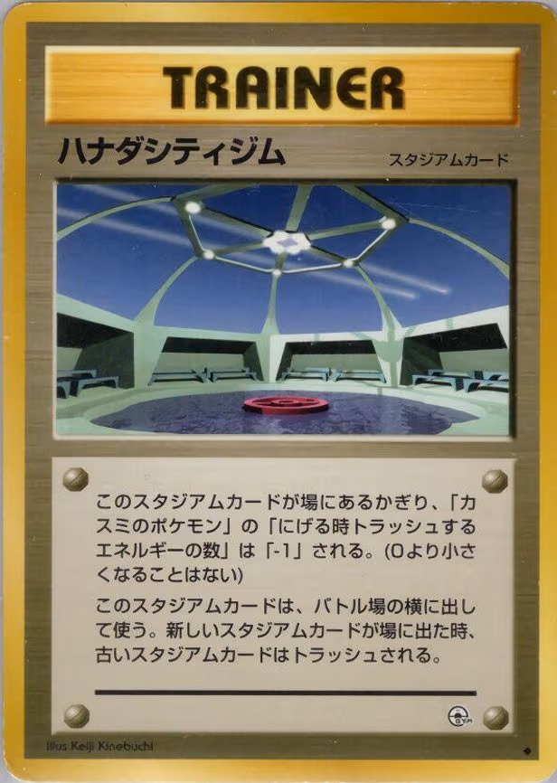 Cerulean City Gym