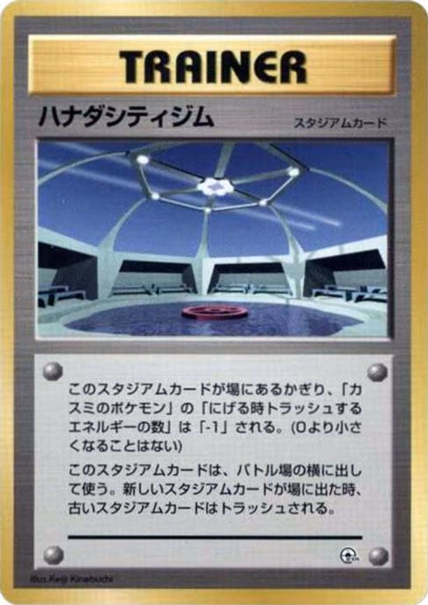 Cerulean City Gym