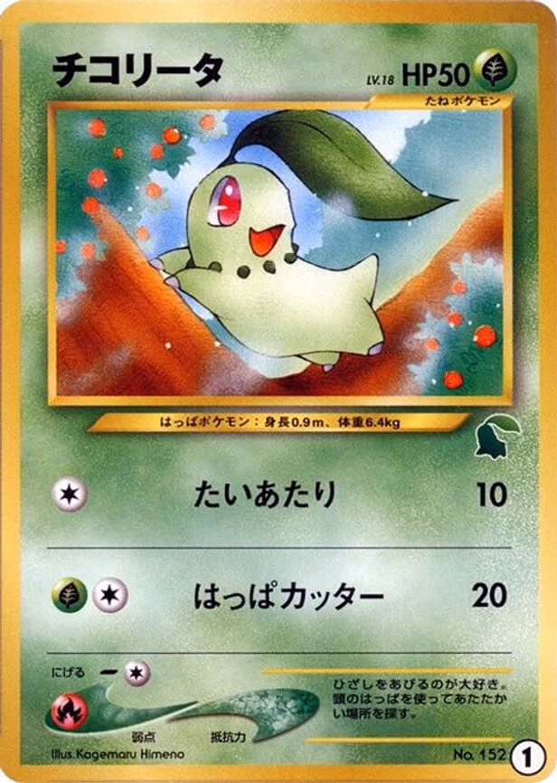 Chikorita