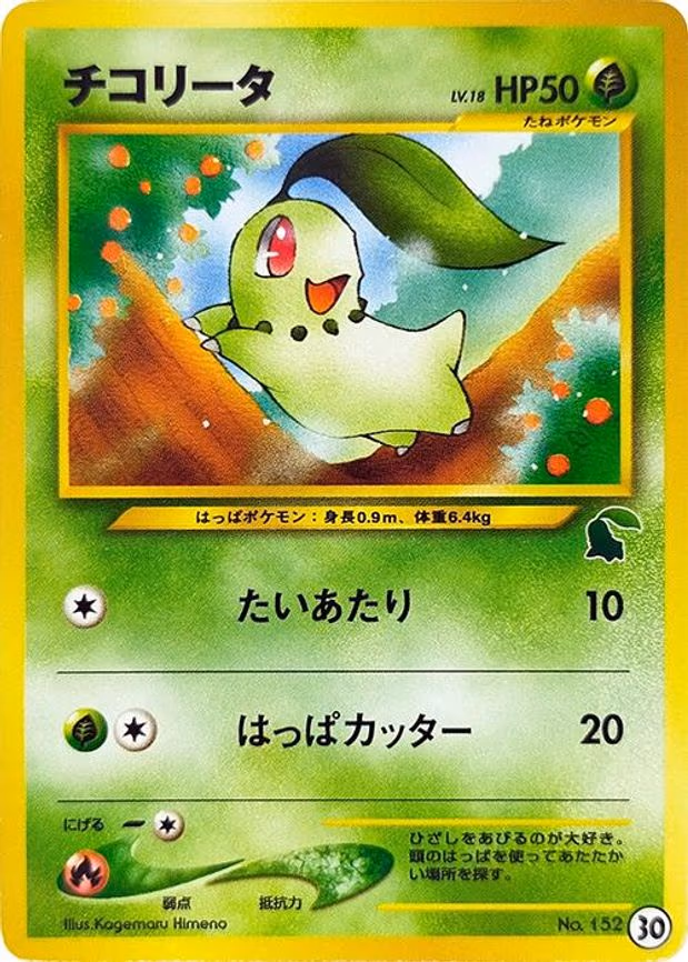 Chikorita