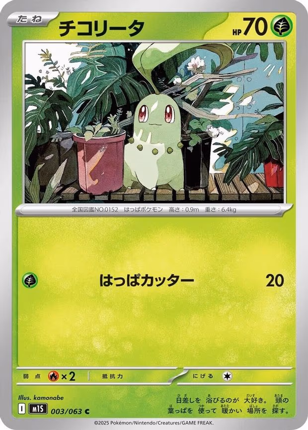 Chikorita