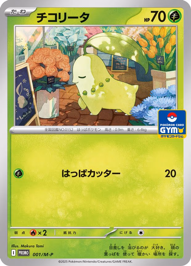 Chikorita