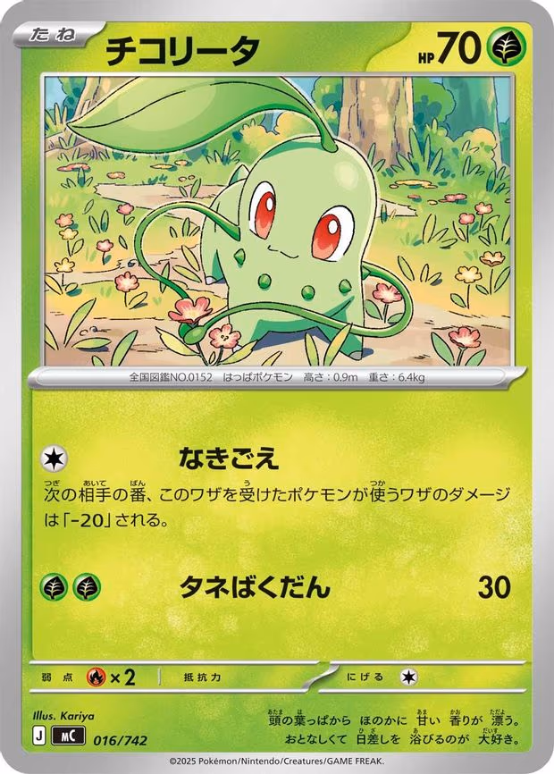 Chikorita