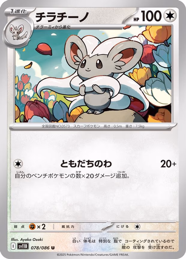 Cinccino
