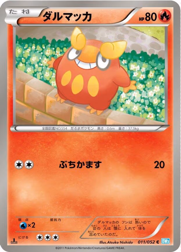 Darumaka