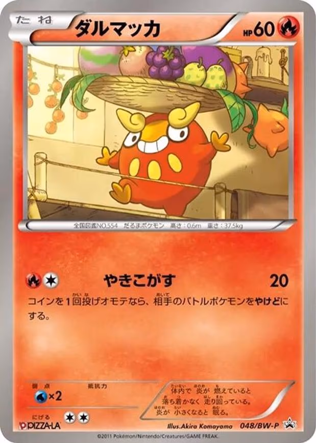 Darumaka
