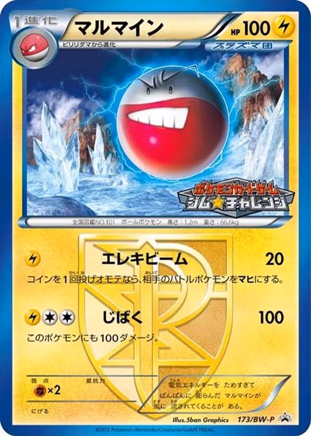 Electrode - None (173/BW-P)