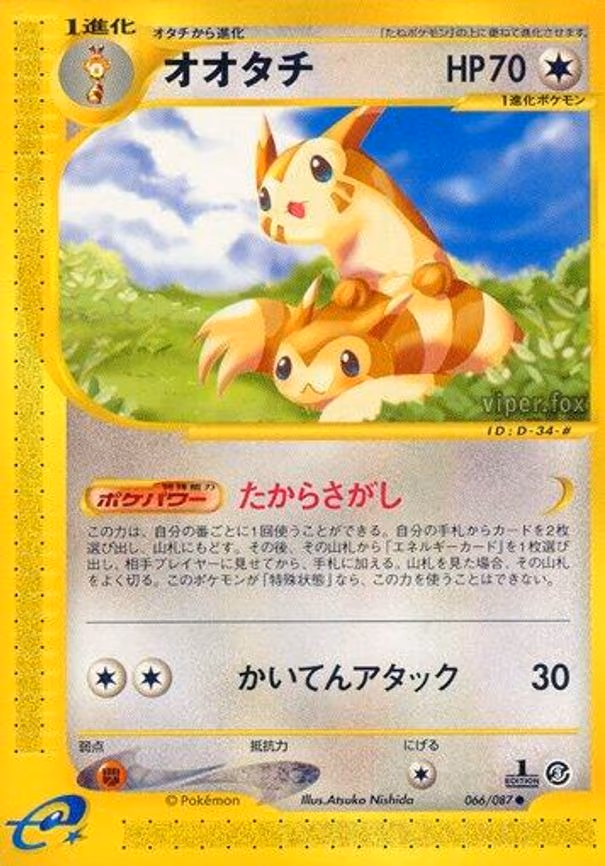 Furret
