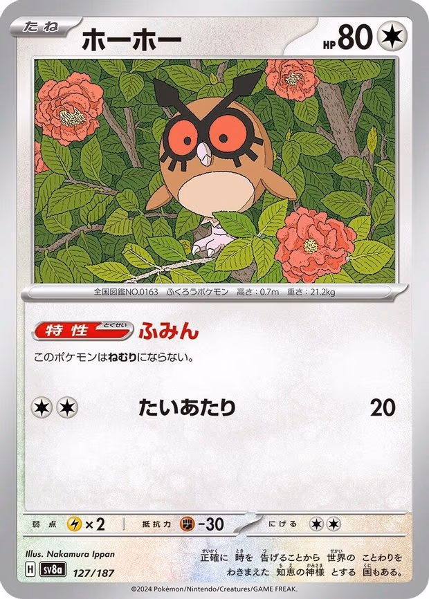 Hoothoot
