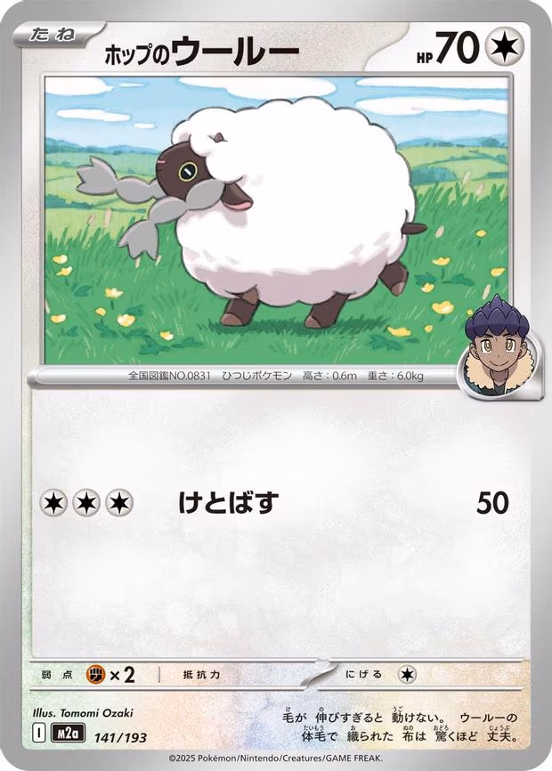 Hop's Wooloo (141/193)