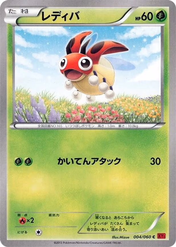 Ledyba