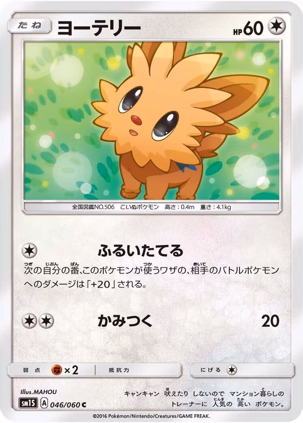 Lillipup