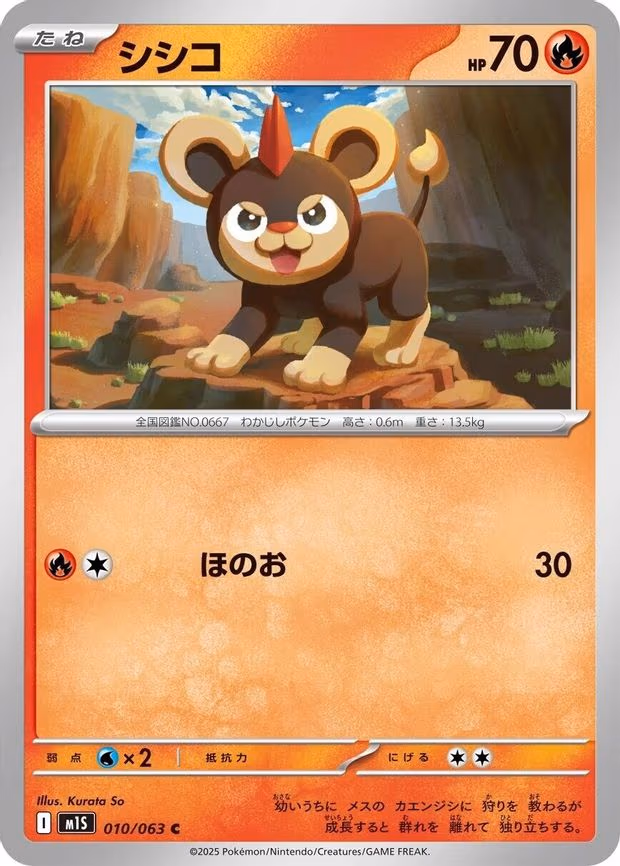 Litleo