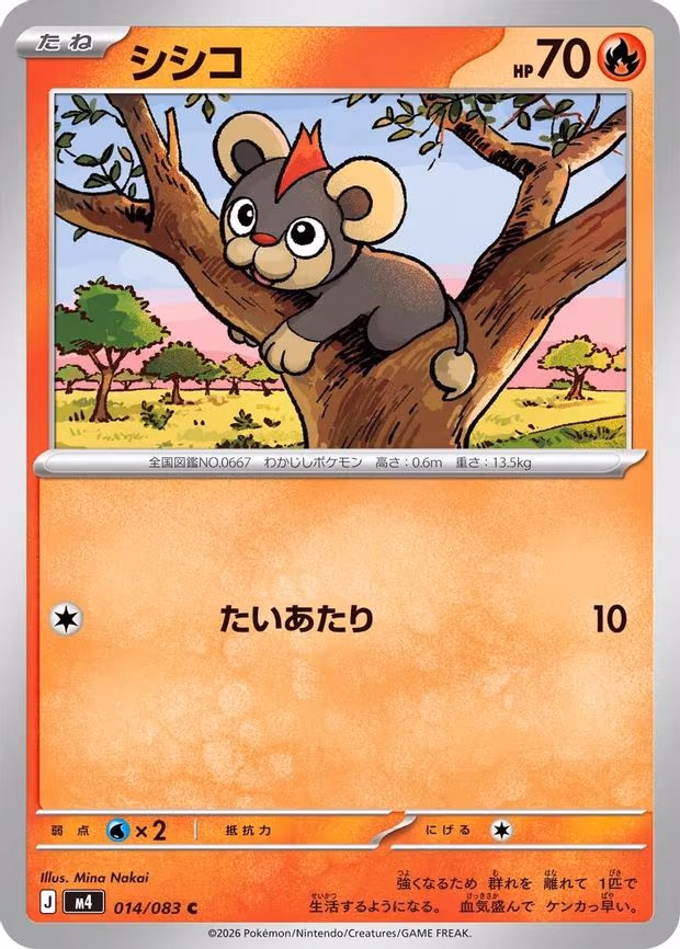 Litleo
