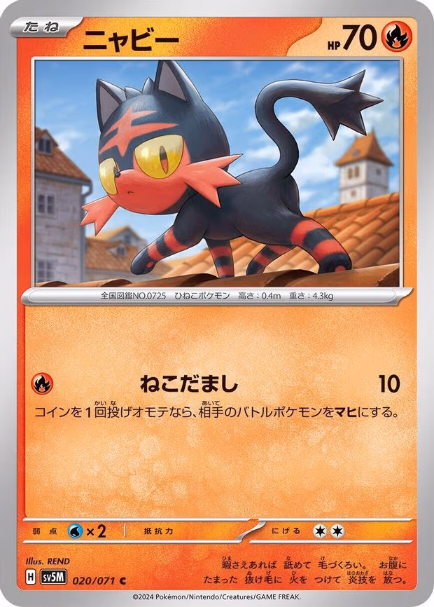 Litten