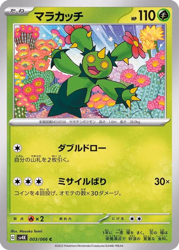 Maractus