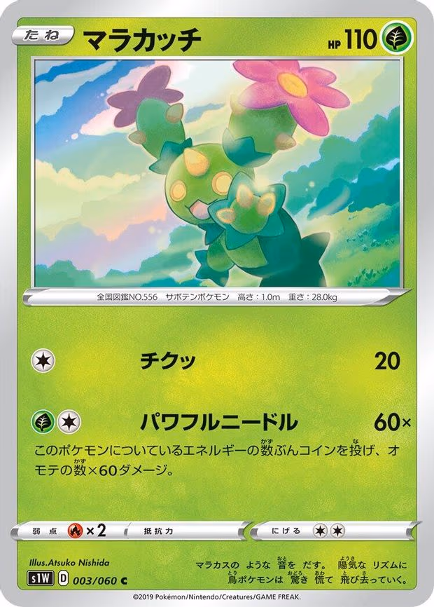 Maractus