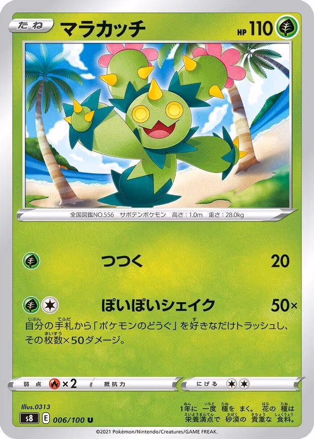 Maractus