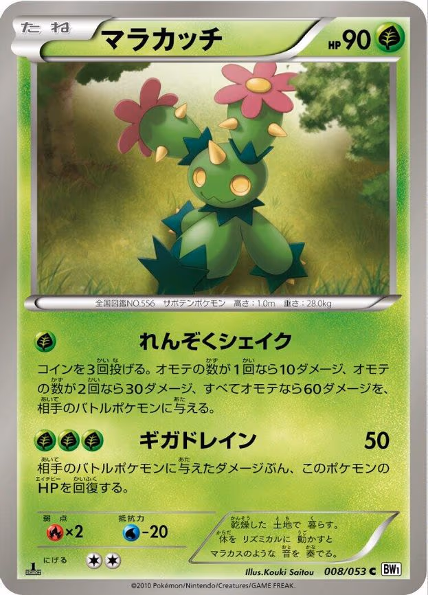Maractus