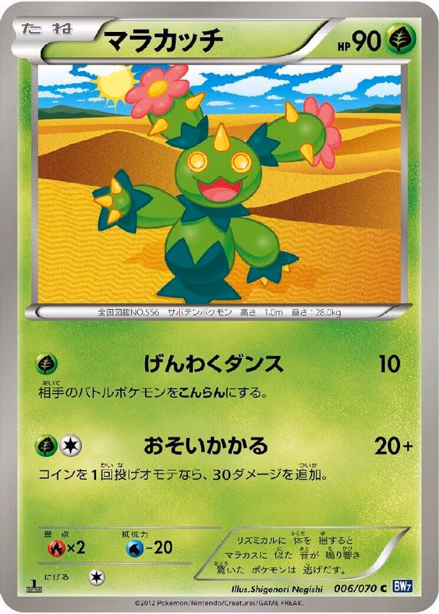 Maractus