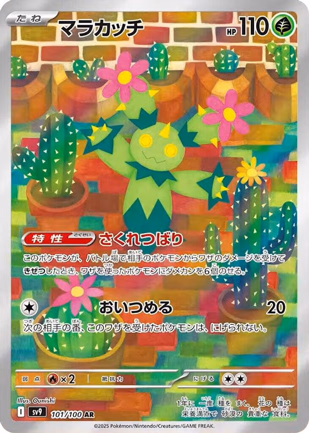 Maractus