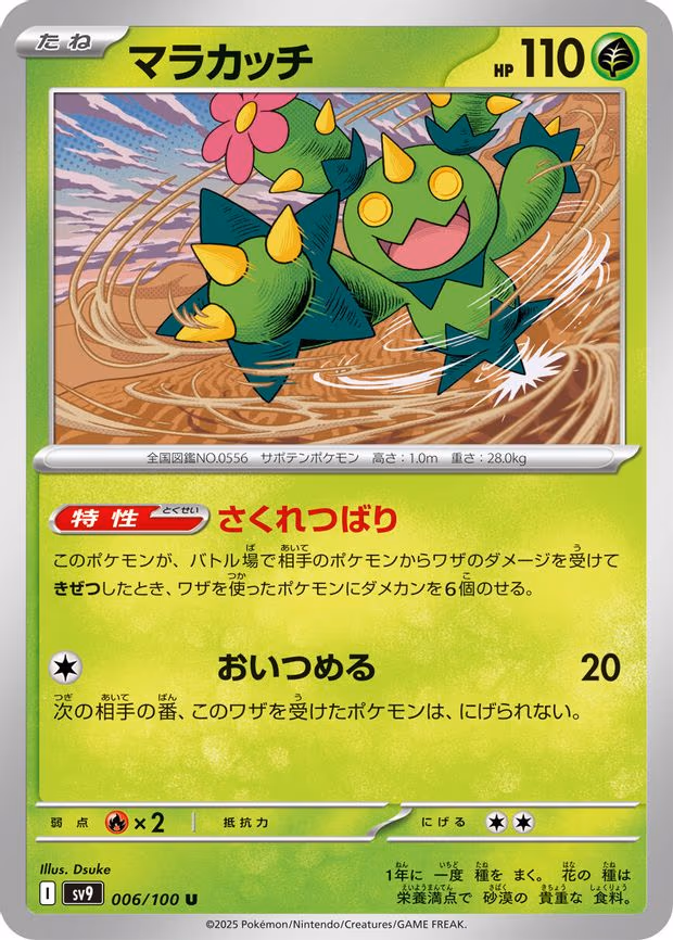Maractus