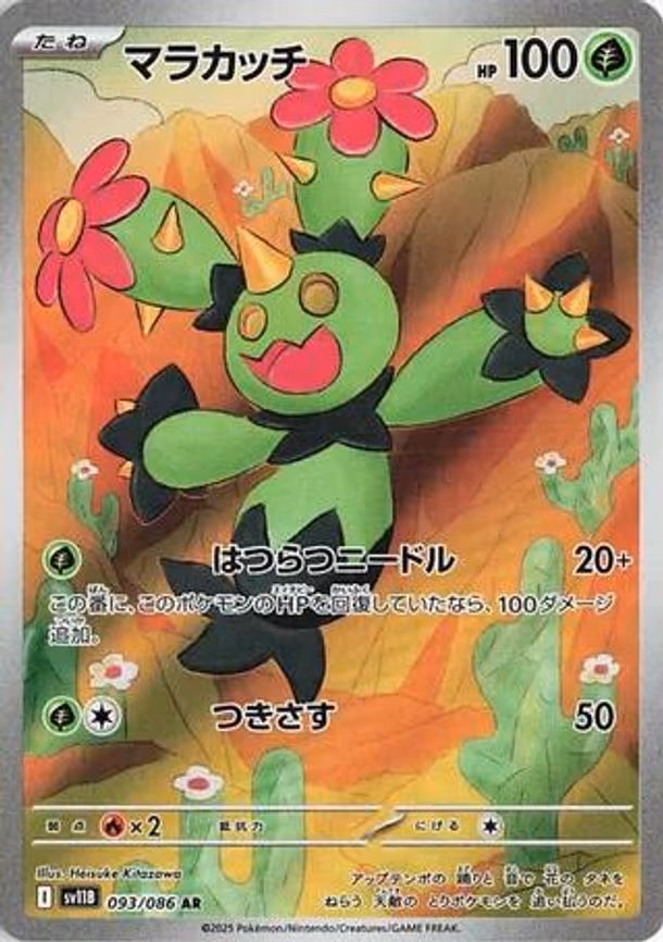 Maractus