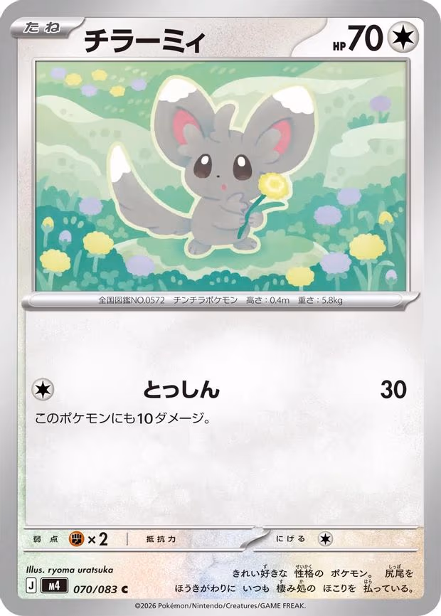 Minccino