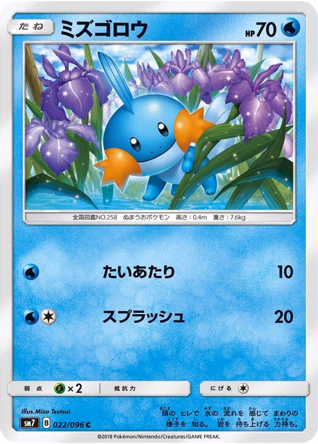 Mudkip