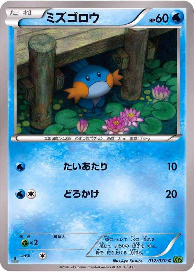 Mudkip