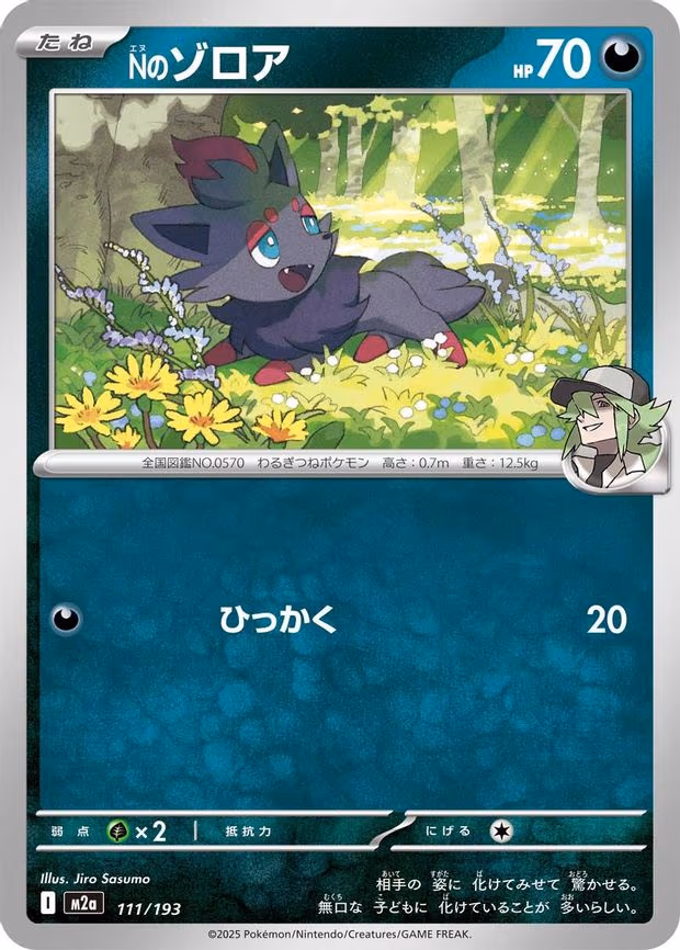 N's Zorua (111/193)