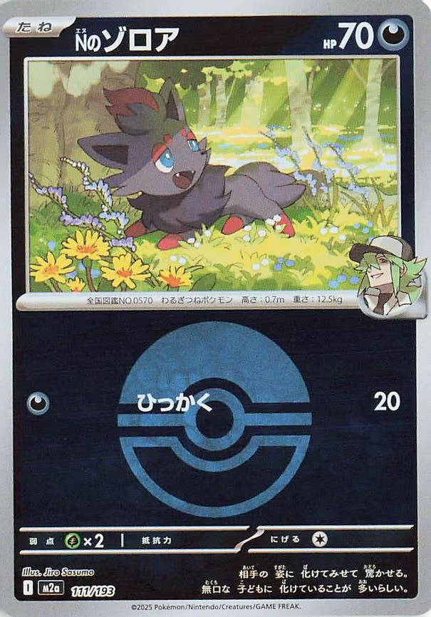 N's Zorua (Poke Ball Pattern) (111/193)