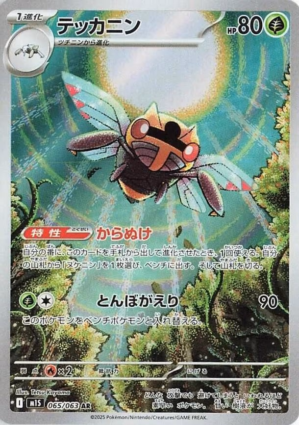 Ninjask