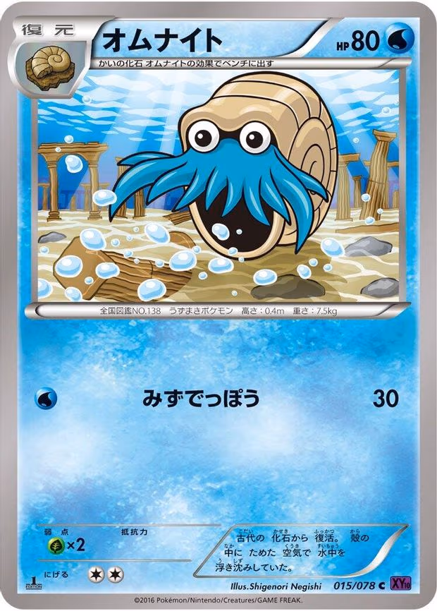 Omanyte