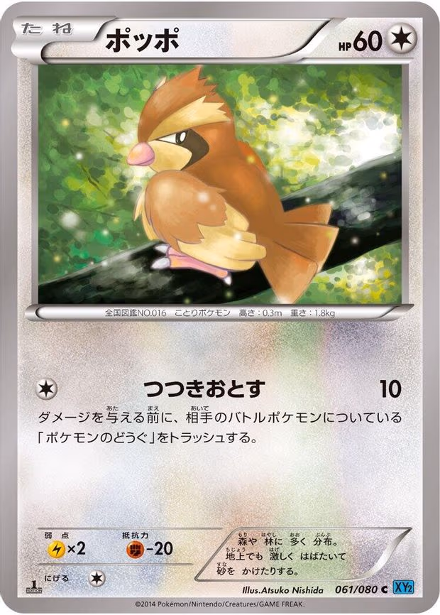 Pidgey