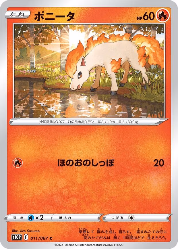 Ponyta