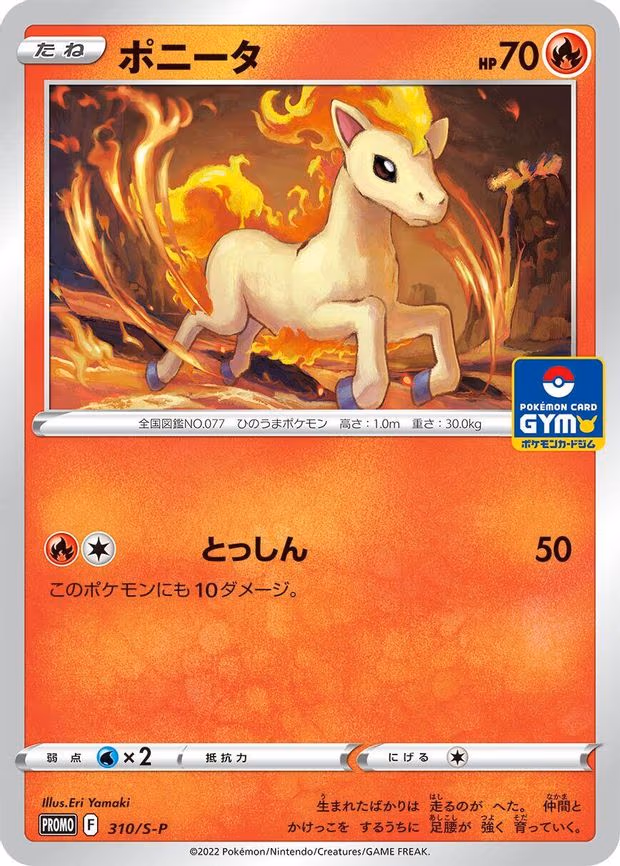 Ponyta